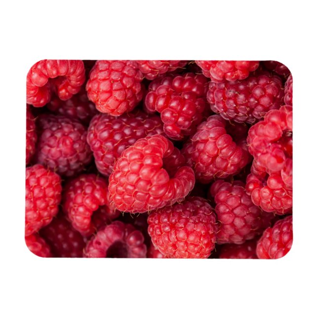 Imán Frambuesas rojas frescas (Horizontal)