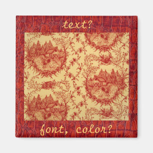 Imán francés de la casa de gallina del modelo de