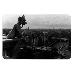 Imán Francia Antigua París Catedral de Notre Dame diabl