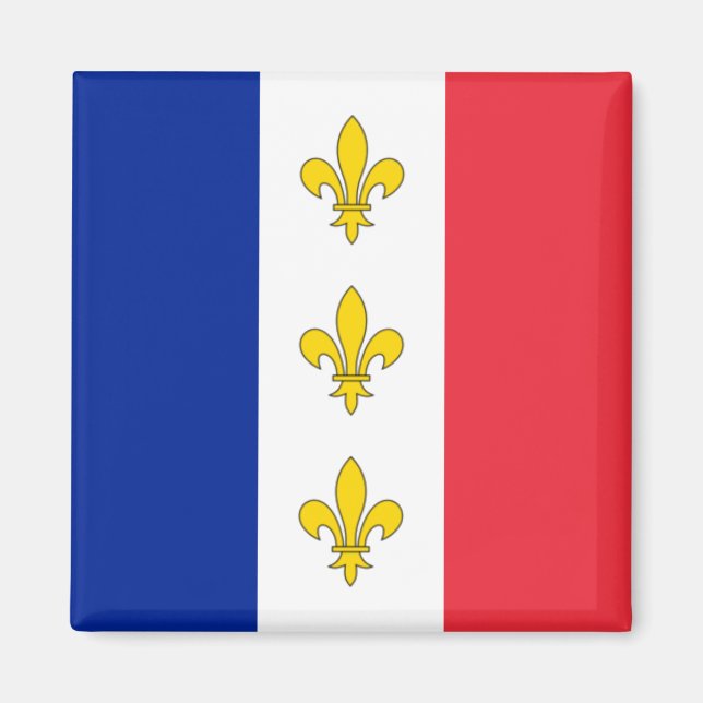 Imán Francia Magnet - Tricolor & Fleurs-de-Lys (Frente)