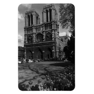 Imán Francia Vintage París Catedral de Notre Dame 1970