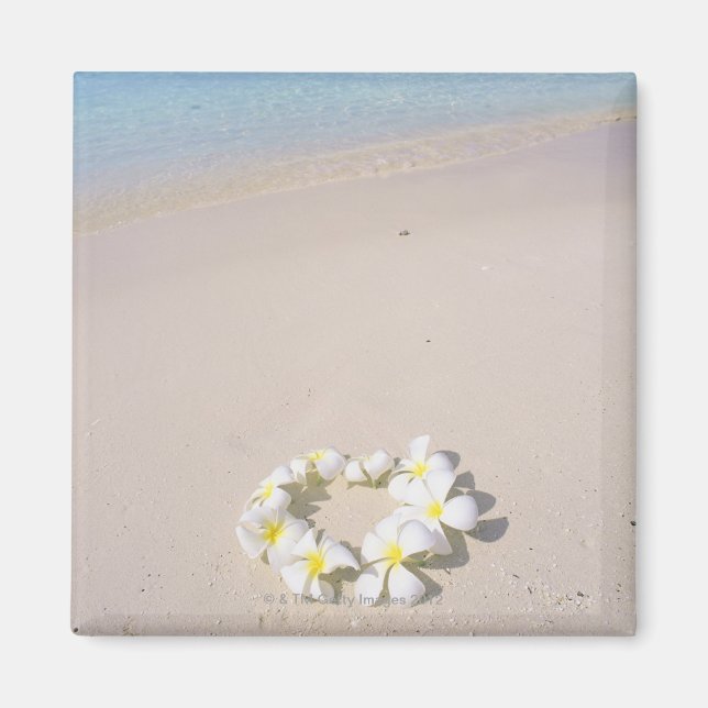 Imán Frangipani en la playa (Frente)