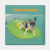 Französische Bulldogge Gran Verano