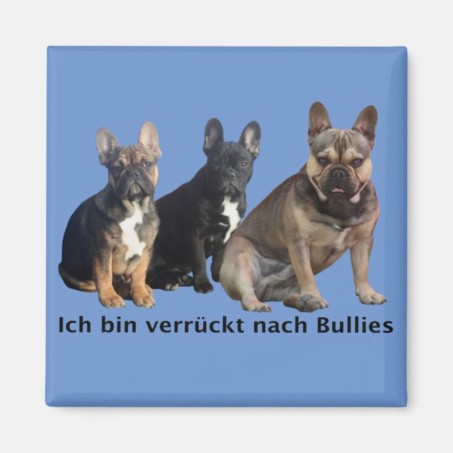 Imán Französische Bulldogge Magnet (Frente)