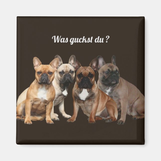 Imán Französische Bulldoggen Fue guckst du, (Frente)