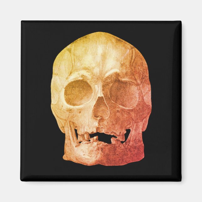 Imán Freaky Skull Magnet (Frente)