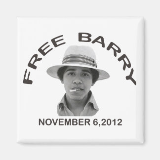 Imán FREE BARRY Magnet