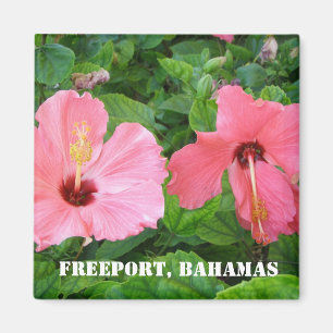 Imán Freeport, Bahamas Magnet