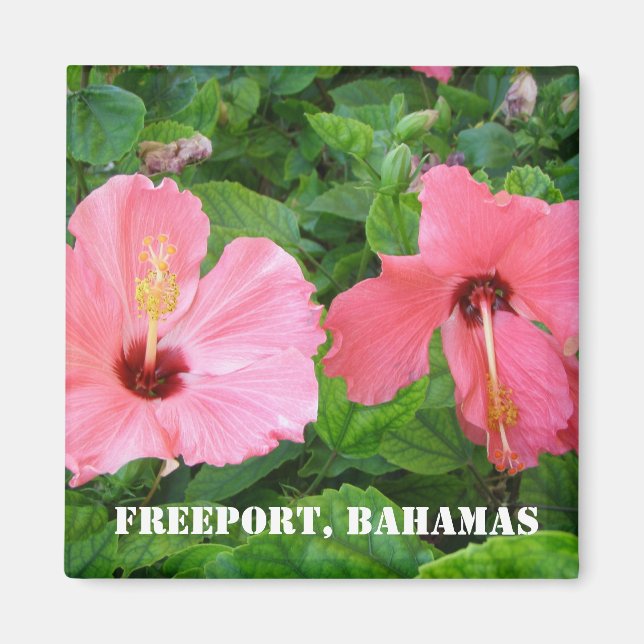 Imán Freeport, Bahamas Magnet (Frente)