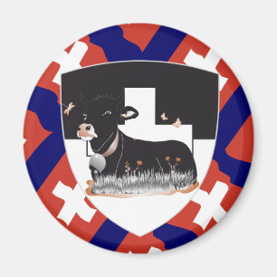 Imán Freiburg Fribourg Schweiz Suisse Magnete