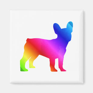 Imán Frenchie