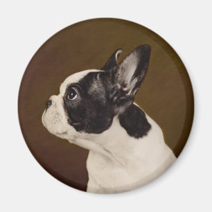 Imán Frenchie