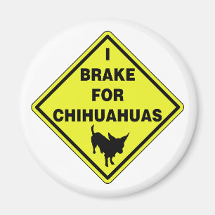 Imán Freno para las chihuahuas
