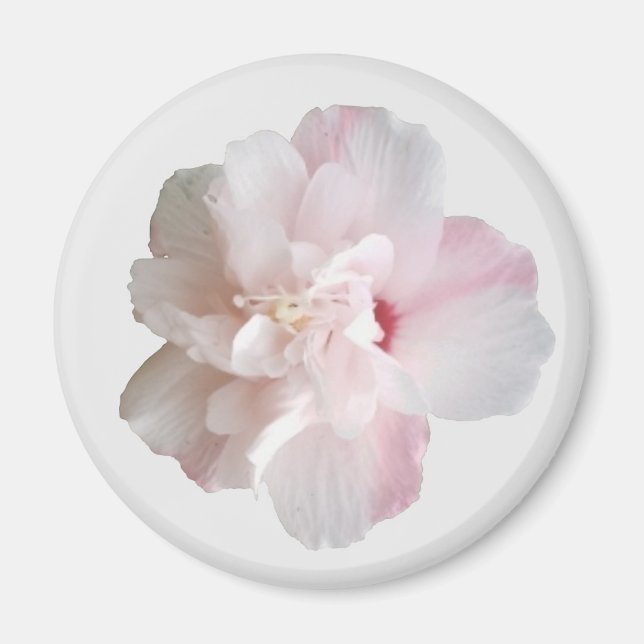 Imán Fresa rosa Smoothie Althea Magnet (Frente)