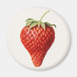 Imán Fresa vintage