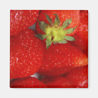 Imán ¡Fresas!