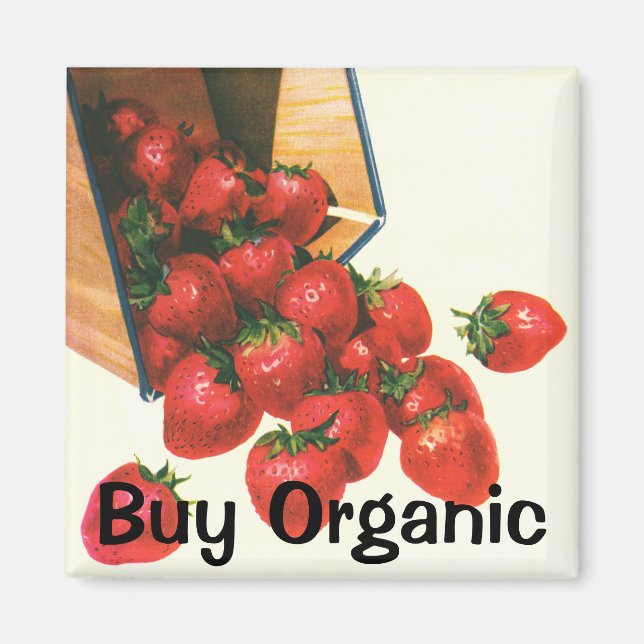 Imán Fresas de época en cesta, fresas de frutas aliment (Frente)