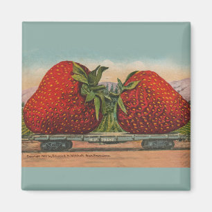 Imán Fresas Gigante Fruto de la Antigüedad