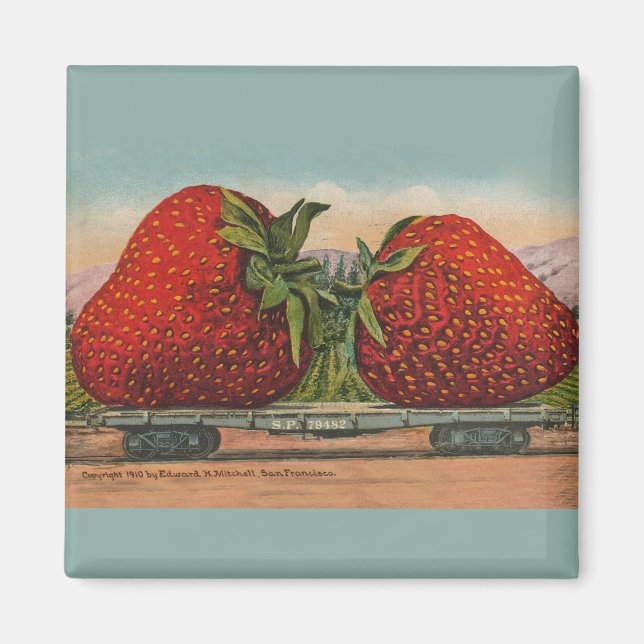 Imán Fresas Gigante Fruto de la Antigüedad (Frente)