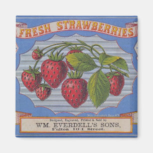Imán fresco de las fresas del vintage