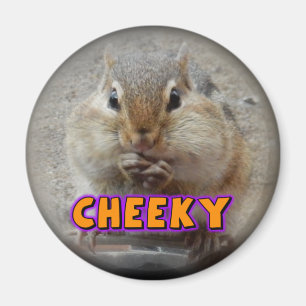 Imán fresco del Chipmunk