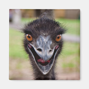 Imán fresco del refrigerador del Emu