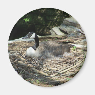 Imán 'Fridge Goose Magnet