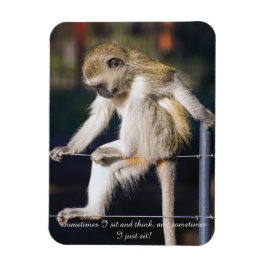 Imán Fridge Magnet con mono y eslogan