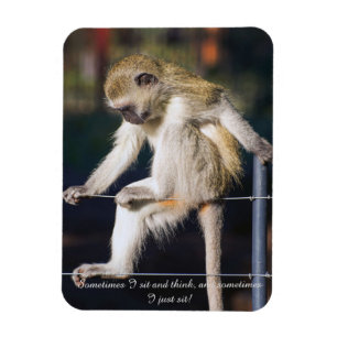 Imán Fridge Magnet con mono y eslogan