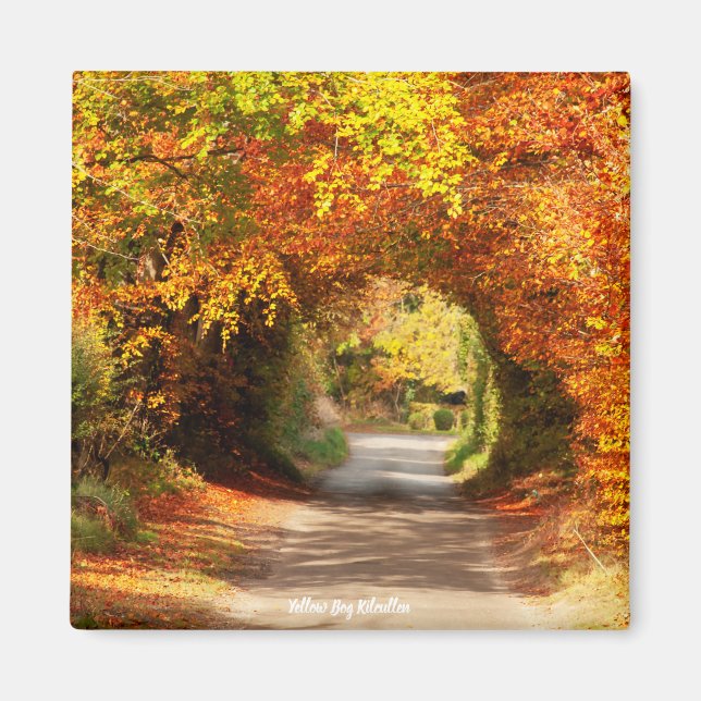 Imán Fridge Magnet Yellow Bog Kilcullen (Frente)