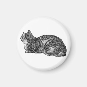 Imán Fridge Tabby, garras tapadas