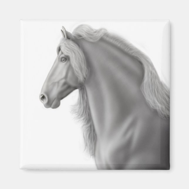 Imán Friesian Stallion Magnet (Frente)