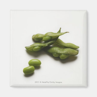 Imán frijol de edamame verde múltiple con vaina de arve