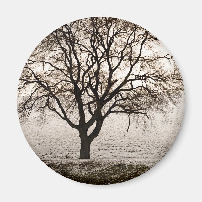 Imán frío y encantador (Frente)