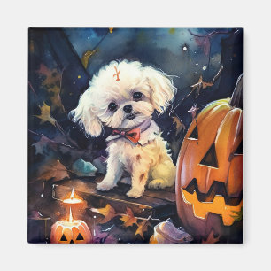 Imán Frisa de Bichon de Halloween con calabazas asustad