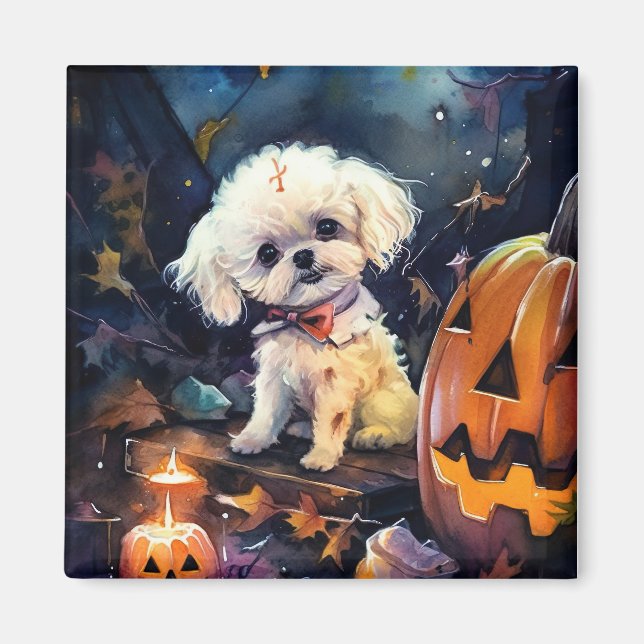 Imán Frisa de Bichon de Halloween con calabazas asustad (Frente)