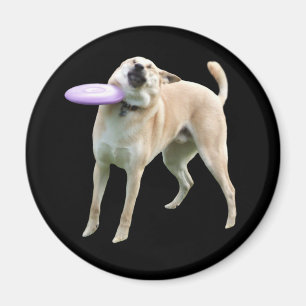 Imán Frisbee Dog Meme Magnet