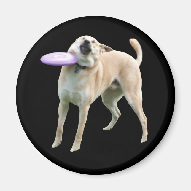 Imán Frisbee Dog Meme Magnet (Frente)
