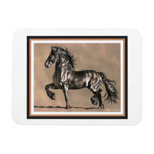 Imán frisio del caballo