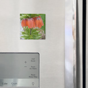 Imán Fritillaria Imperialis Naranja Flowers Magnet