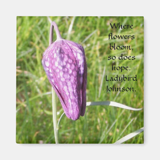 Imán Fritillary