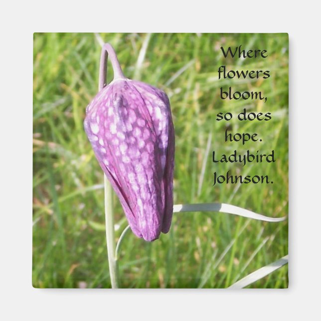 Imán Fritillary (Frente)