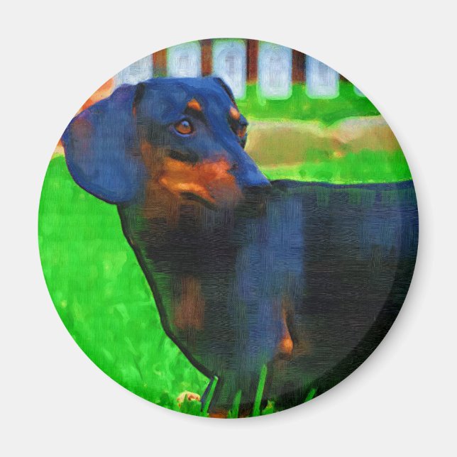 Imán Fritz (Frente)