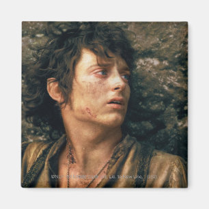 Imán FRODO™ en la desesperación