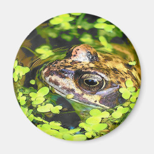 IMÁN FROG
