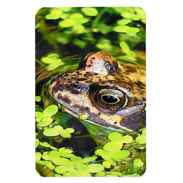 IMÁN FROG (Vertical)