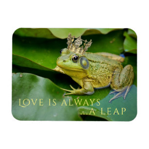 Imán Frog Prince en Lily Pad