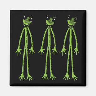 Imán Frog Skinny