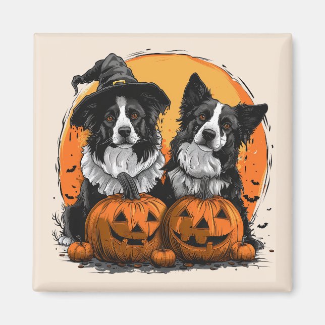 Imán Frontera Collie Perros Halloween Jack O Lanterns (Frente)