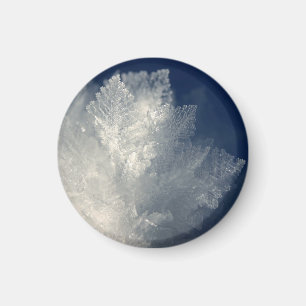 Imán Frost